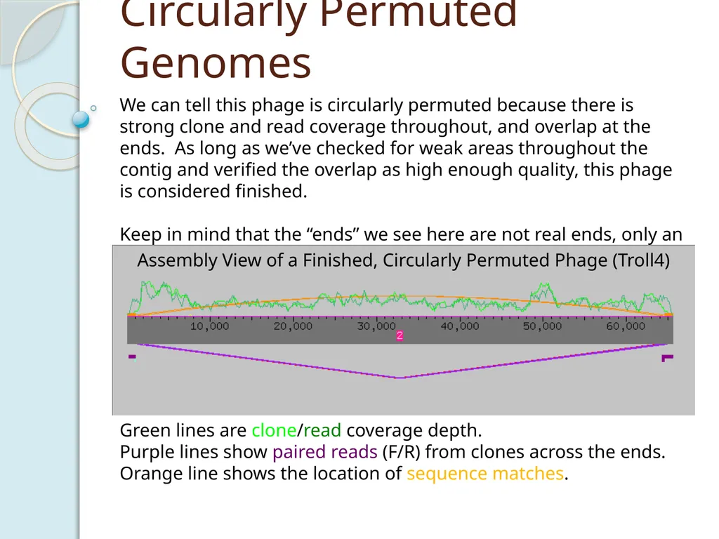 Finishing Phage Genomes How to identify circularly - slide 6 of 28