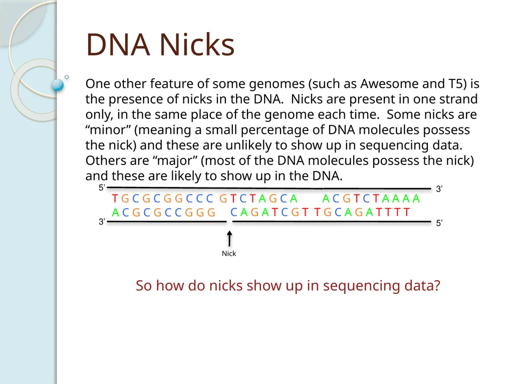 Finishing Phage Genomes How to identify circularly - slide 25 of 28
