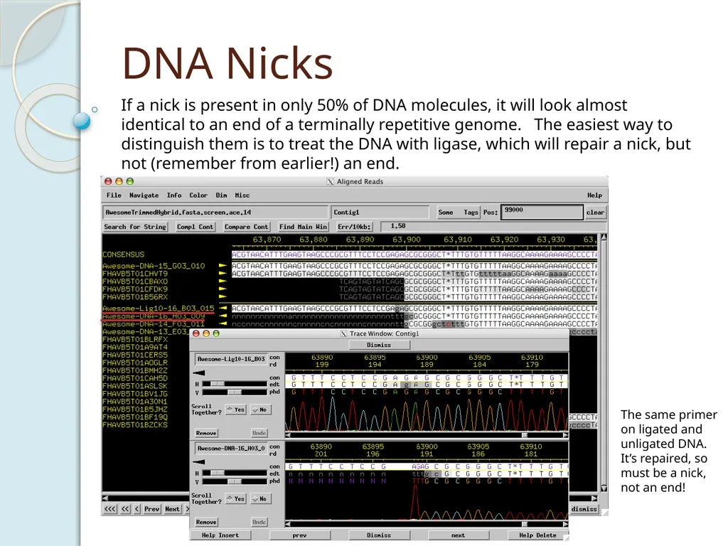 Finishing Phage Genomes How to identify circularly - slide 28 of 28
