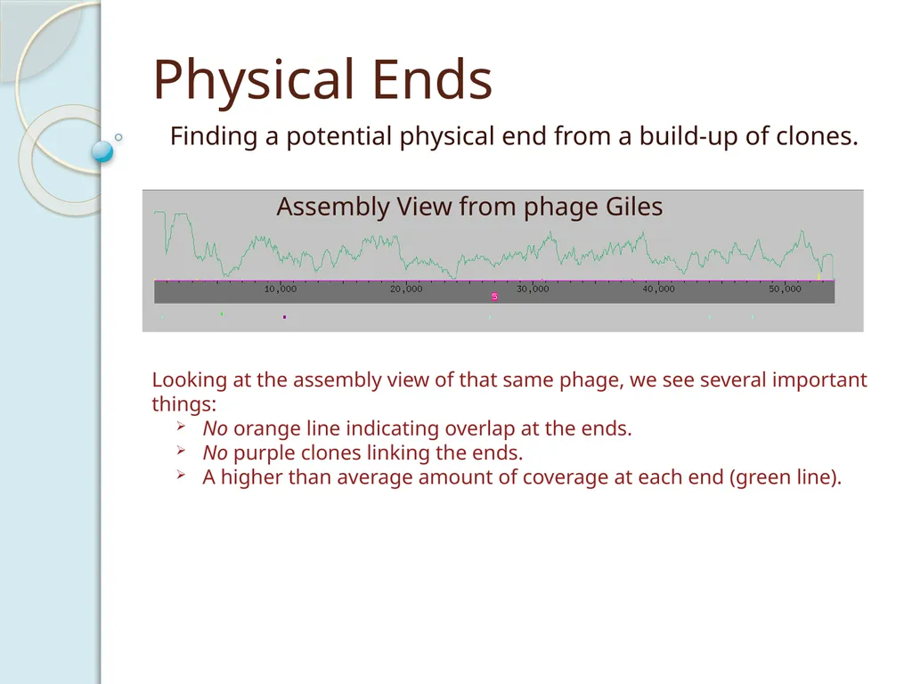Finishing Phage Genomes How to identify circularly - slide 10 of 28