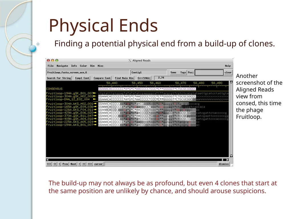 Finishing Phage Genomes How to identify circularly - slide 11 of 28
