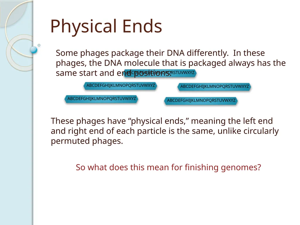 Finishing Phage Genomes How to identify circularly - slide 7 of 28