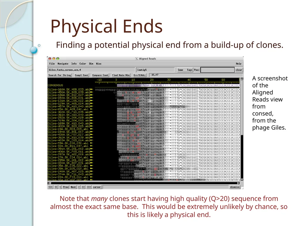Finishing Phage Genomes How to identify circularly - slide 9 of 28