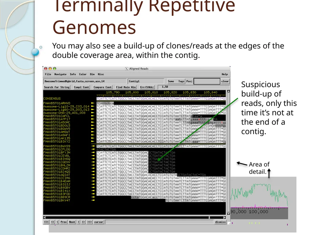 Finishing Phage Genomes How to identify circularly - slide 20 of 28