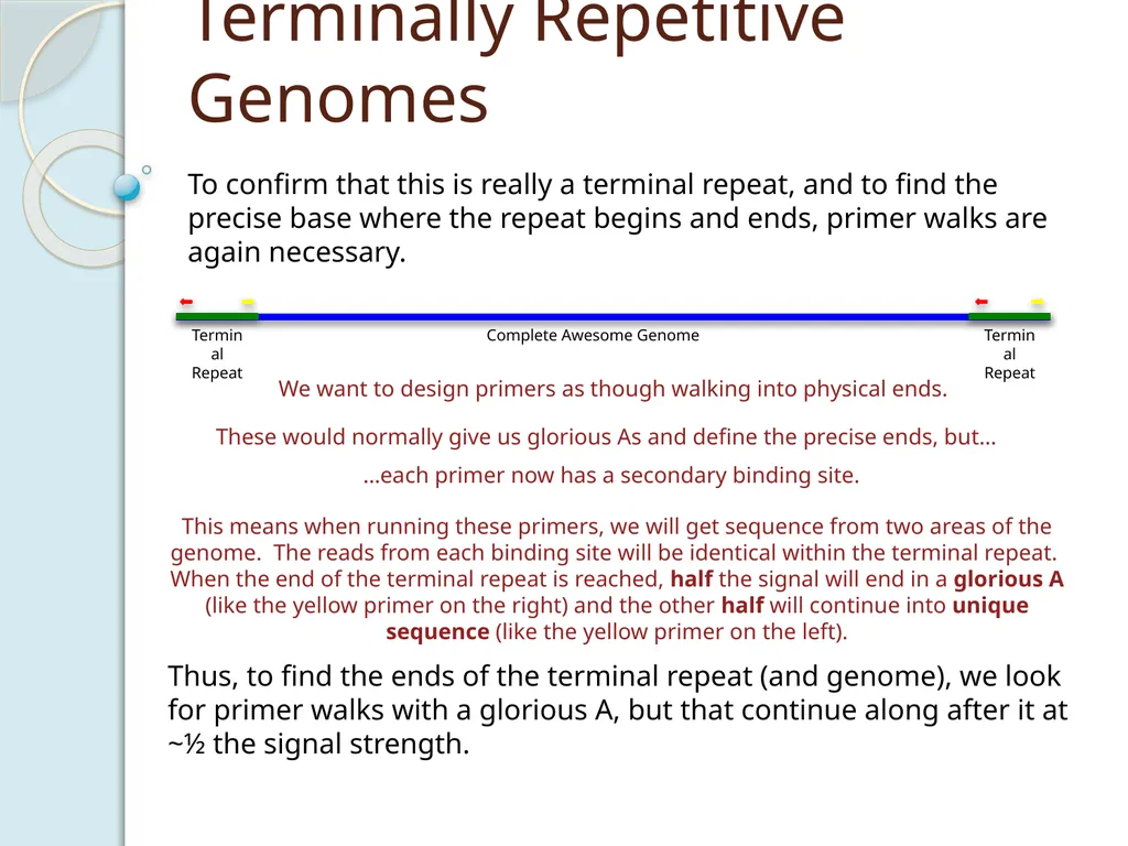 Finishing Phage Genomes How to identify circularly - slide 21 of 28