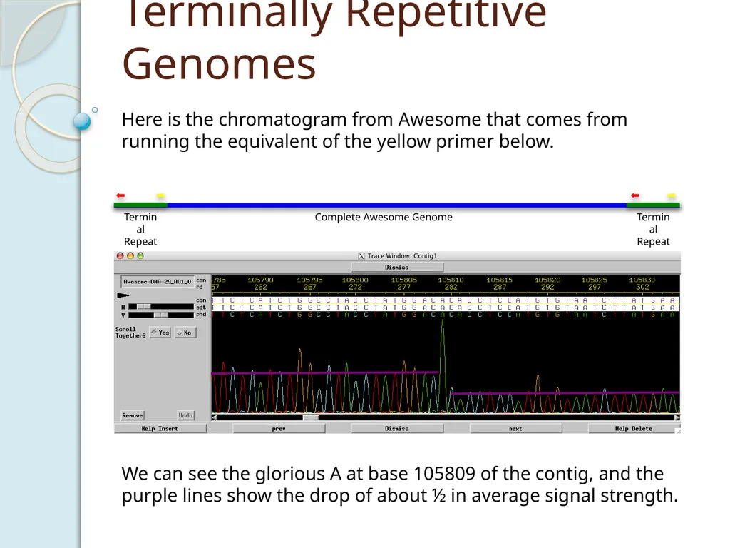 Finishing Phage Genomes How to identify circularly - slide 22 of 28