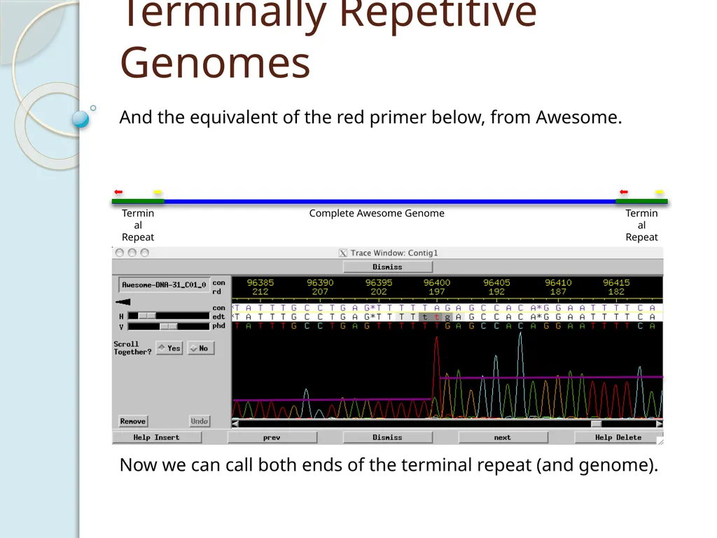 Finishing Phage Genomes How to identify circularly - slide 23 of 28