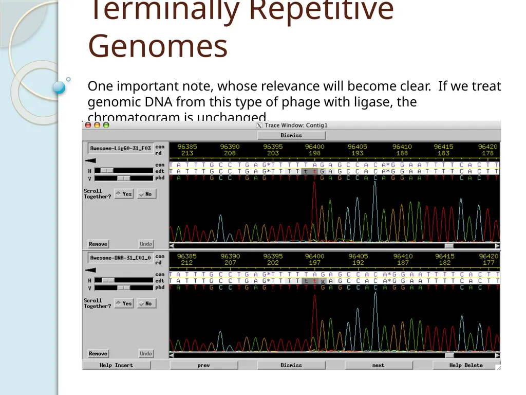 Finishing Phage Genomes How to identify circularly - slide 24 of 28