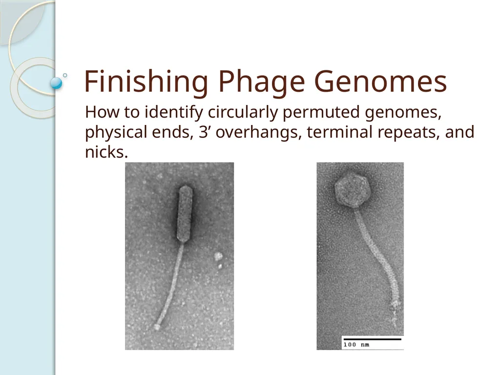 Finishing Phage Genomes How to identify circularly