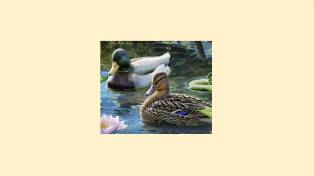 What woodland creatures do you see? - slide 3 of 9