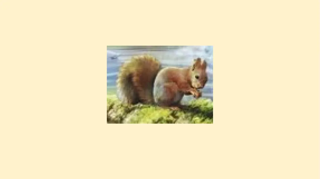 What woodland creatures do you see? - slide 4 of 9
