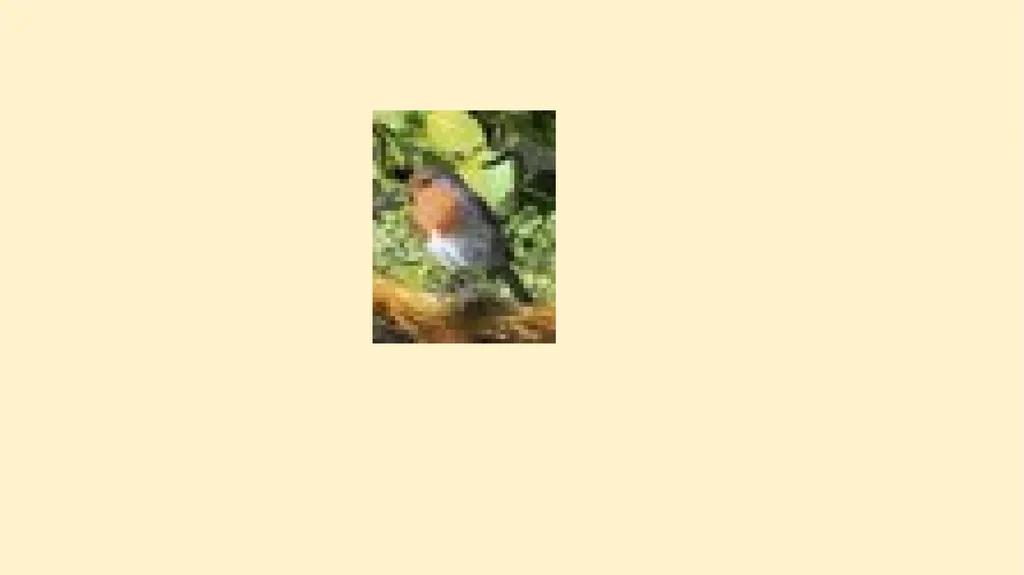 What woodland creatures do you see? - slide 5 of 9