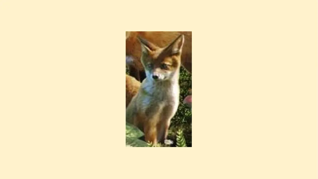 What woodland creatures do you see? - slide 6 of 9