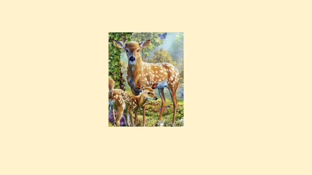 What woodland creatures do you see? - slide 9 of 9