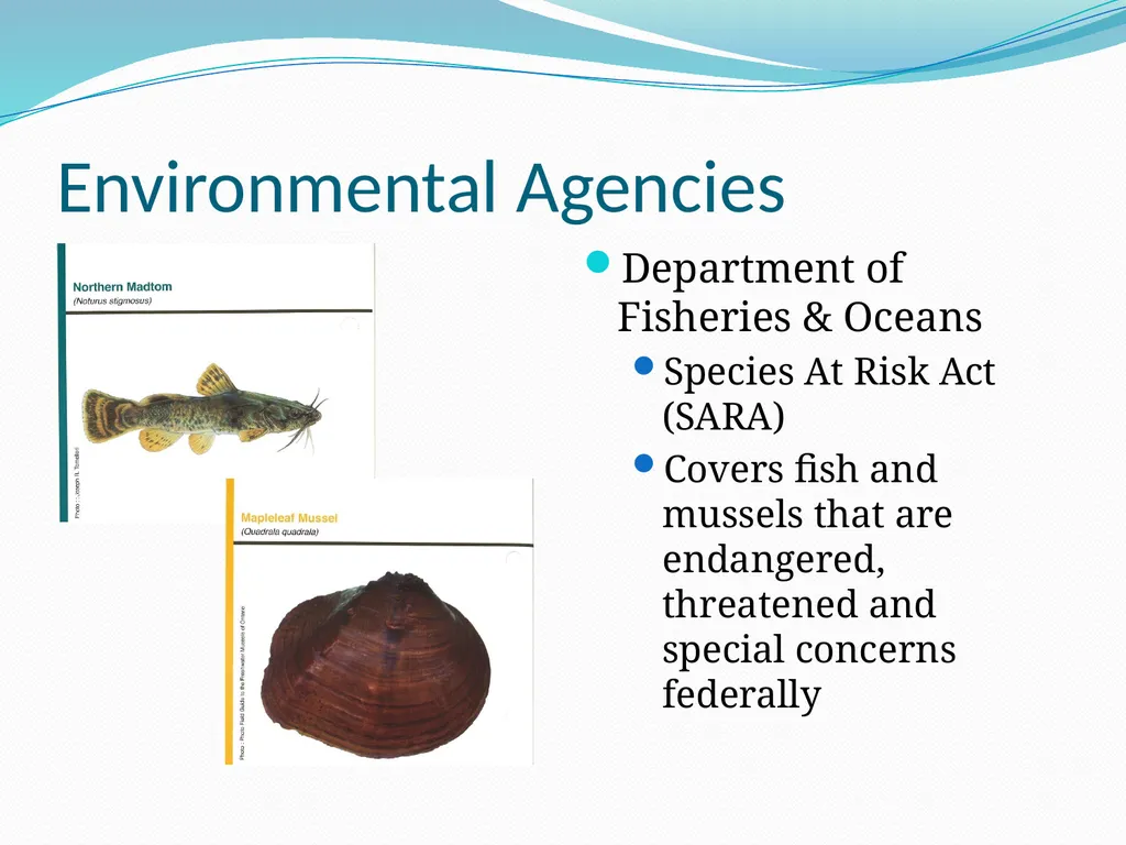 Drainage 101 – Council Educational Session - slide 35 of 43