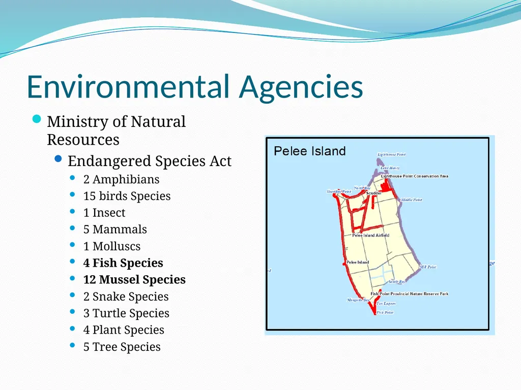 Drainage 101 – Council Educational Session - slide 36 of 43