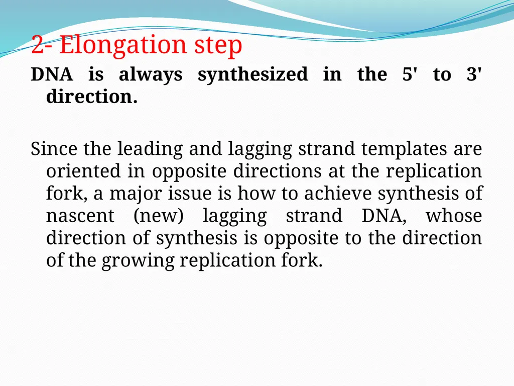 4th lectures in molecular biology DNA REPLICATION - slide 7 of 16