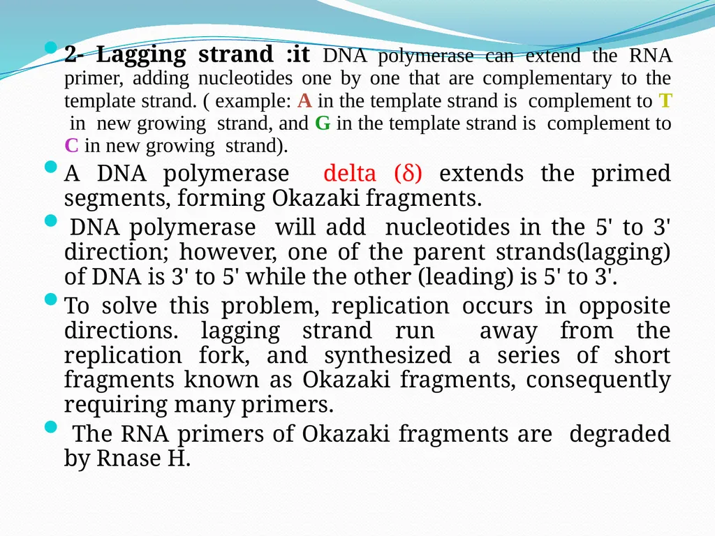 4th lectures in molecular biology DNA REPLICATION - slide 10 of 16