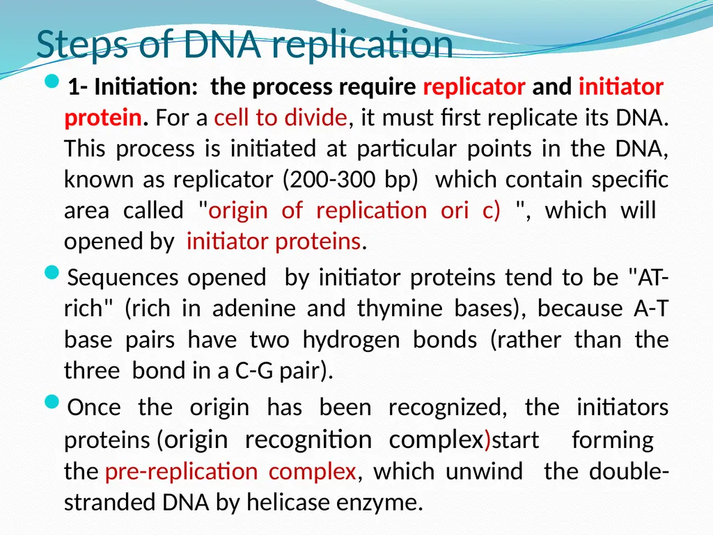 4th lectures in molecular biology DNA REPLICATION - slide 3 of 16