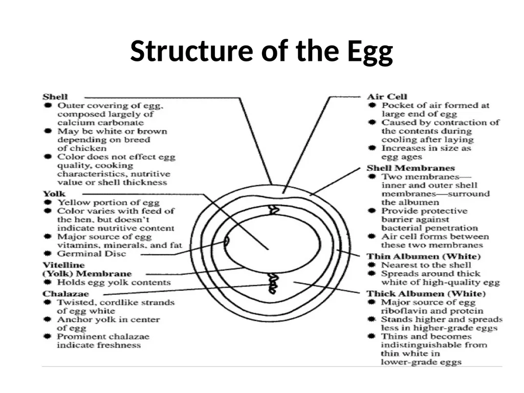 EGG: STRUCTURE, COMPOSITION AND QUALITY Dr. R. K. - slide 4 of 14