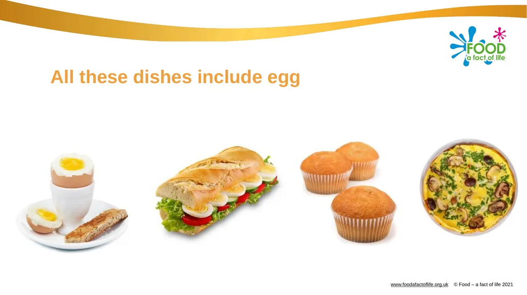Eggs All these dishes include egg Where do eggs - slide 2 of 18