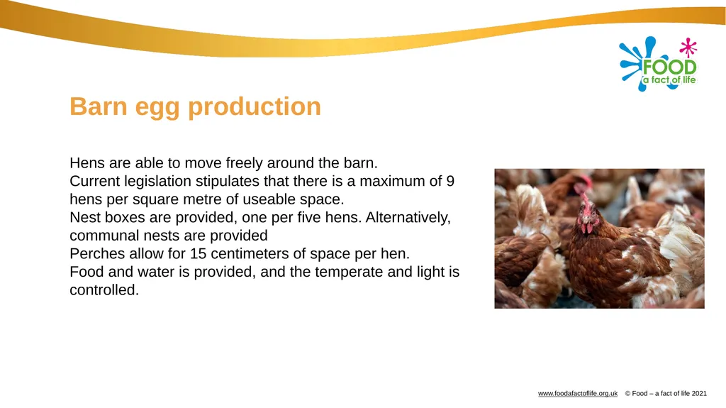 Eggs All these dishes include egg Where do eggs - slide 5 of 18