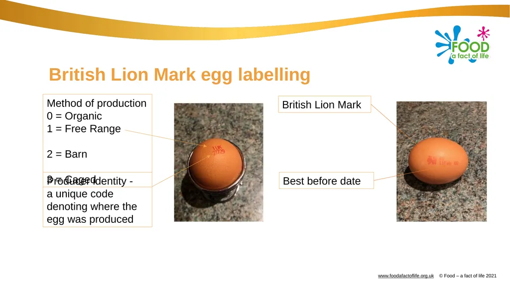 Eggs All these dishes include egg Where do eggs - slide 8 of 18