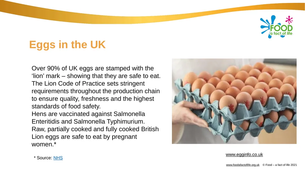 Eggs All these dishes include egg Where do eggs - slide 7 of 18