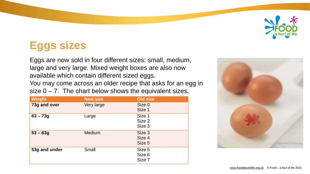 Eggs All these dishes include egg Where do eggs - slide 9 of 18