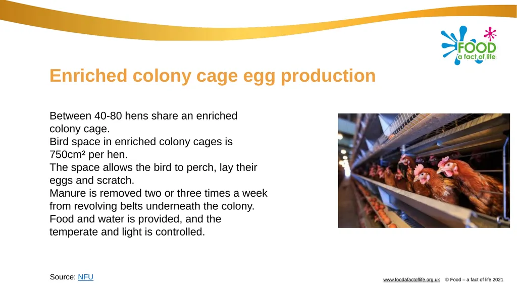 Eggs All these dishes include egg Where do eggs - slide 4 of 18