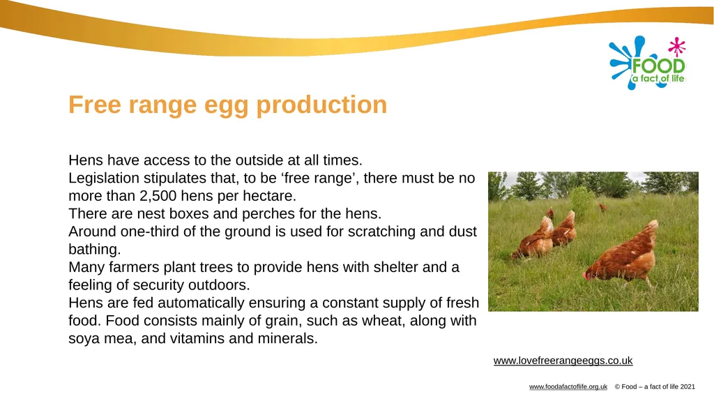 Eggs All these dishes include egg Where do eggs - slide 6 of 18