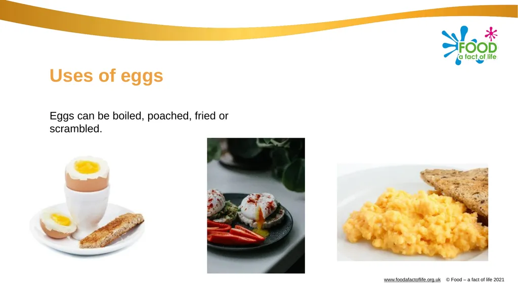 Eggs All these dishes include egg Where do eggs - slide 11 of 18