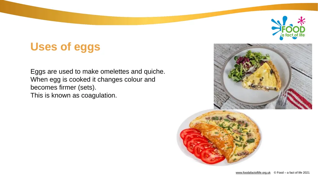 Eggs All these dishes include egg Where do eggs - slide 13 of 18