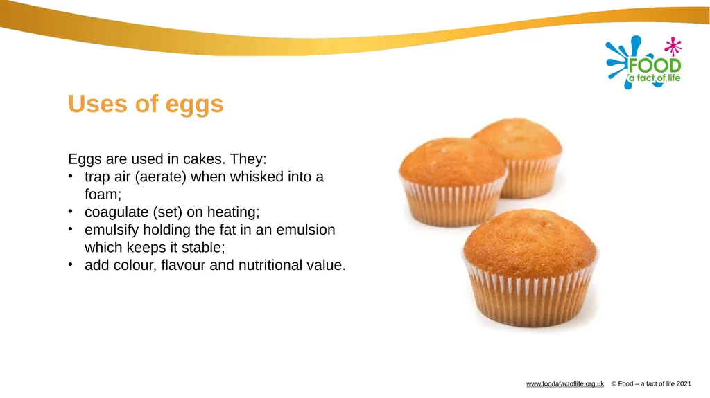 Eggs All these dishes include egg Where do eggs - slide 14 of 18