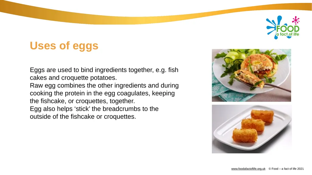 Eggs All these dishes include egg Where do eggs - slide 15 of 18