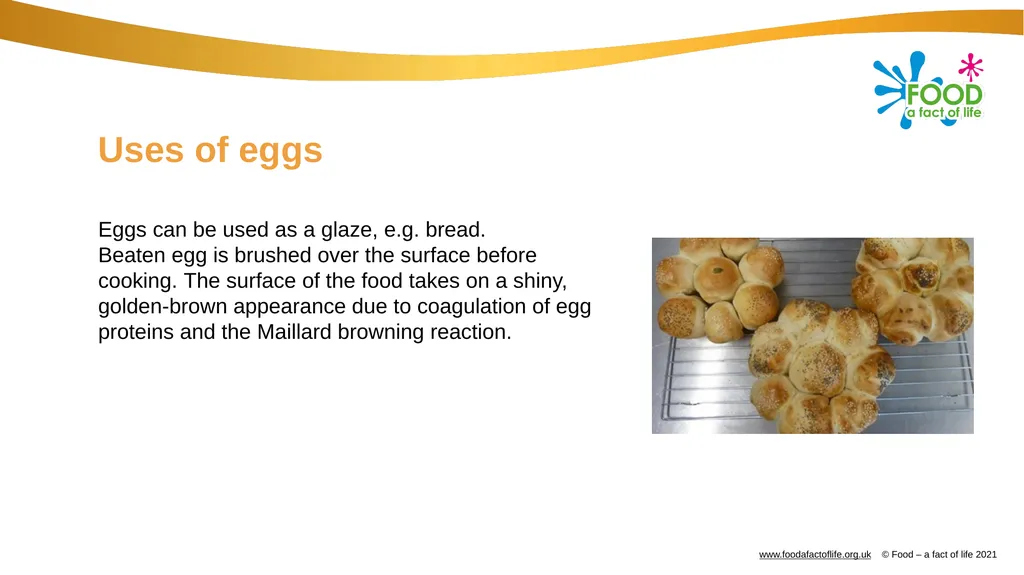 Eggs All these dishes include egg Where do eggs - slide 16 of 18