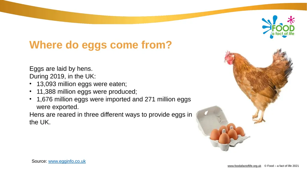 Eggs All these dishes include egg Where do eggs - slide 3 of 18