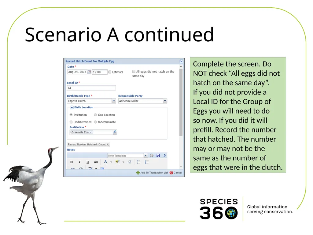 Hatching a Group of Eggs The options available 1 - slide 4 of 16