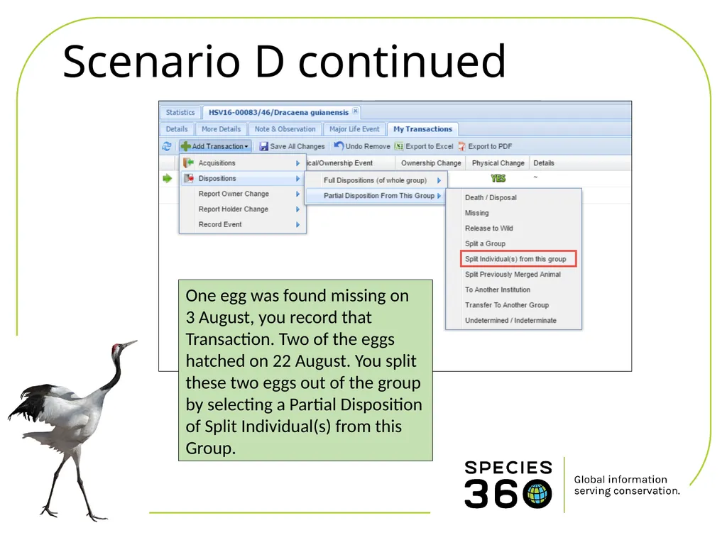Hatching a Group of Eggs The options available 1 - slide 11 of 16