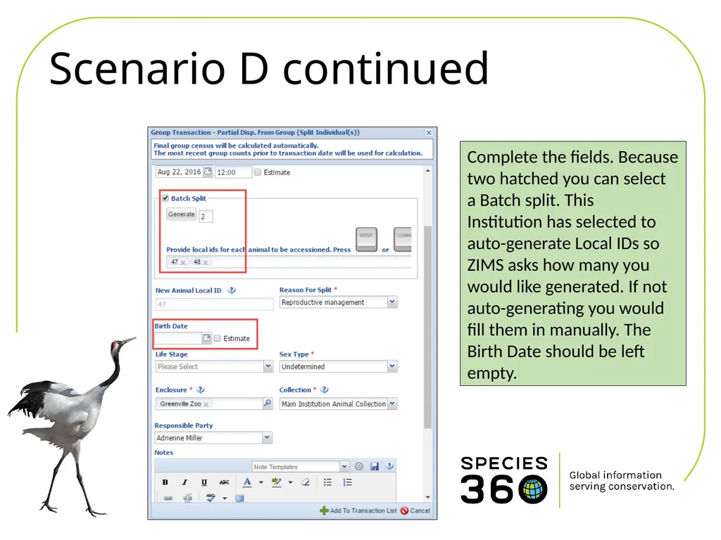 Hatching a Group of Eggs The options available 1 - slide 12 of 16