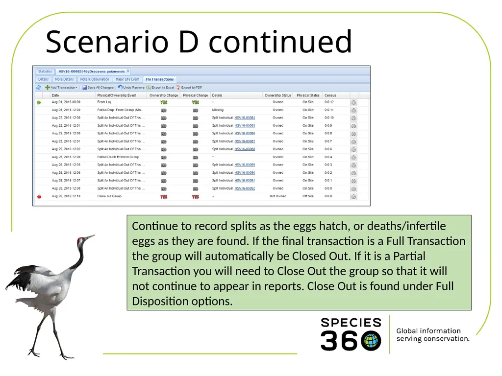 Hatching a Group of Eggs The options available 1 - slide 15 of 16