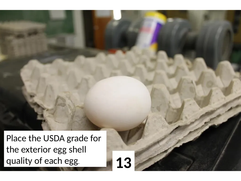 1 Place the USDA grade for the exterior egg shell - slide 13 of 15