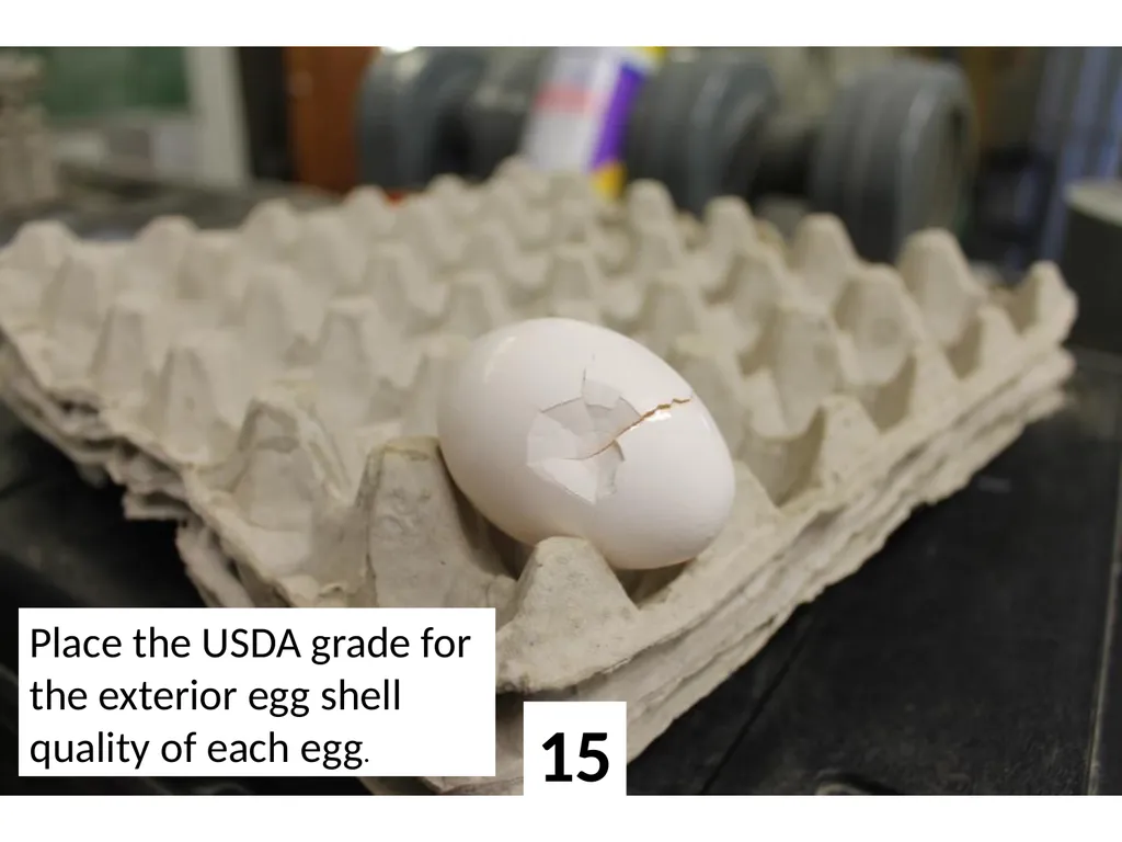 1 Place the USDA grade for the exterior egg shell - slide 15 of 15