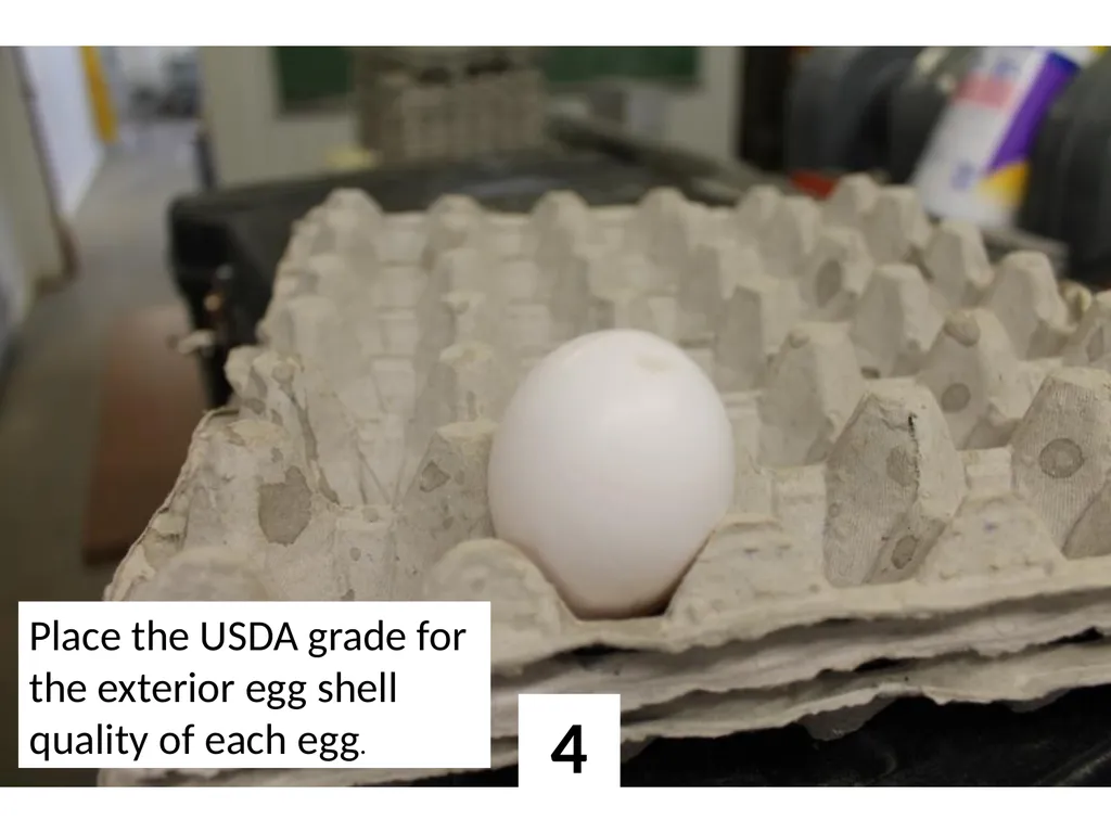 1 Place the USDA grade for the exterior egg shell - slide 4 of 15