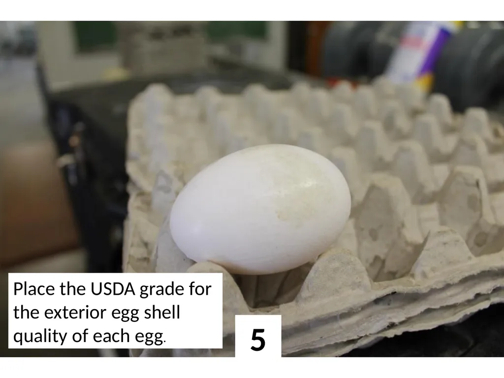 1 Place the USDA grade for the exterior egg shell - slide 5 of 15