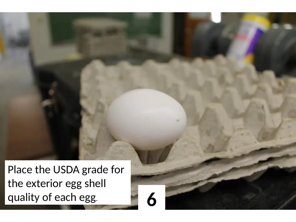 1 Place the USDA grade for the exterior egg shell - slide 6 of 15