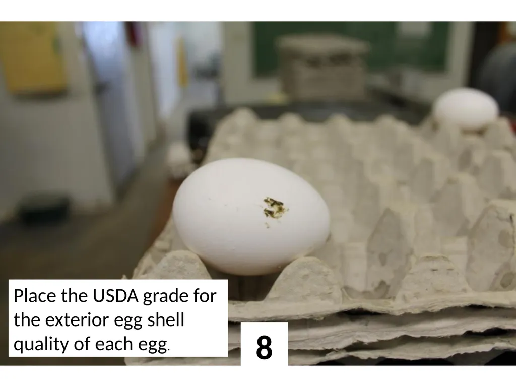 1 Place the USDA grade for the exterior egg shell - slide 8 of 15