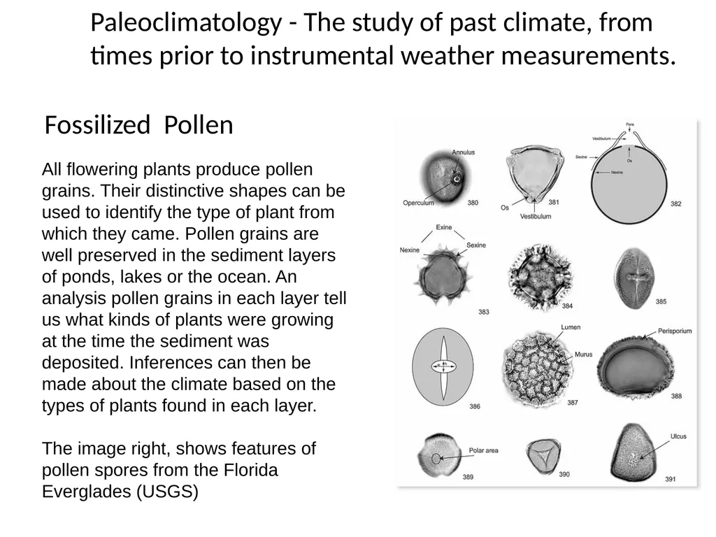 Climate Change: Present, Past, and Future Based on - slide 7 of 40