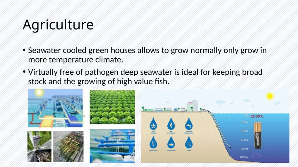 Building Services Sea water Air Conditioning Ar. - slide 11 of 11