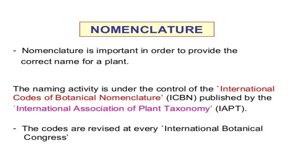 Introduction to Systematics/Plant Taxonomy Dr - slide 27 of 34